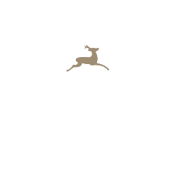 Kapriol
